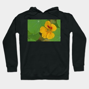 Nasturtium Hoodie